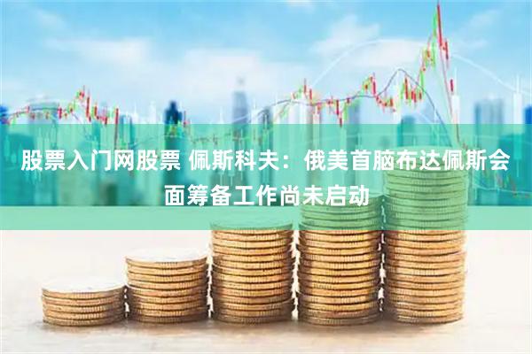 股票入门网股票 佩斯科夫：俄美首脑布达佩斯会面筹备工作尚未启动