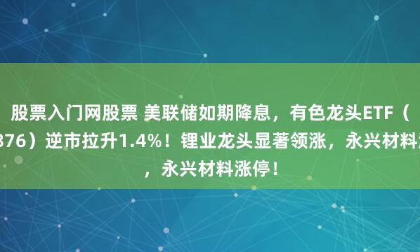 股票入门网股票 美联储如期降息，有色龙头ETF（159876）逆市拉升1.4%！锂业龙头显著领涨，永兴材料涨停！